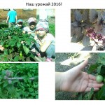 Презентация Microsoft PowerPoint (2)
